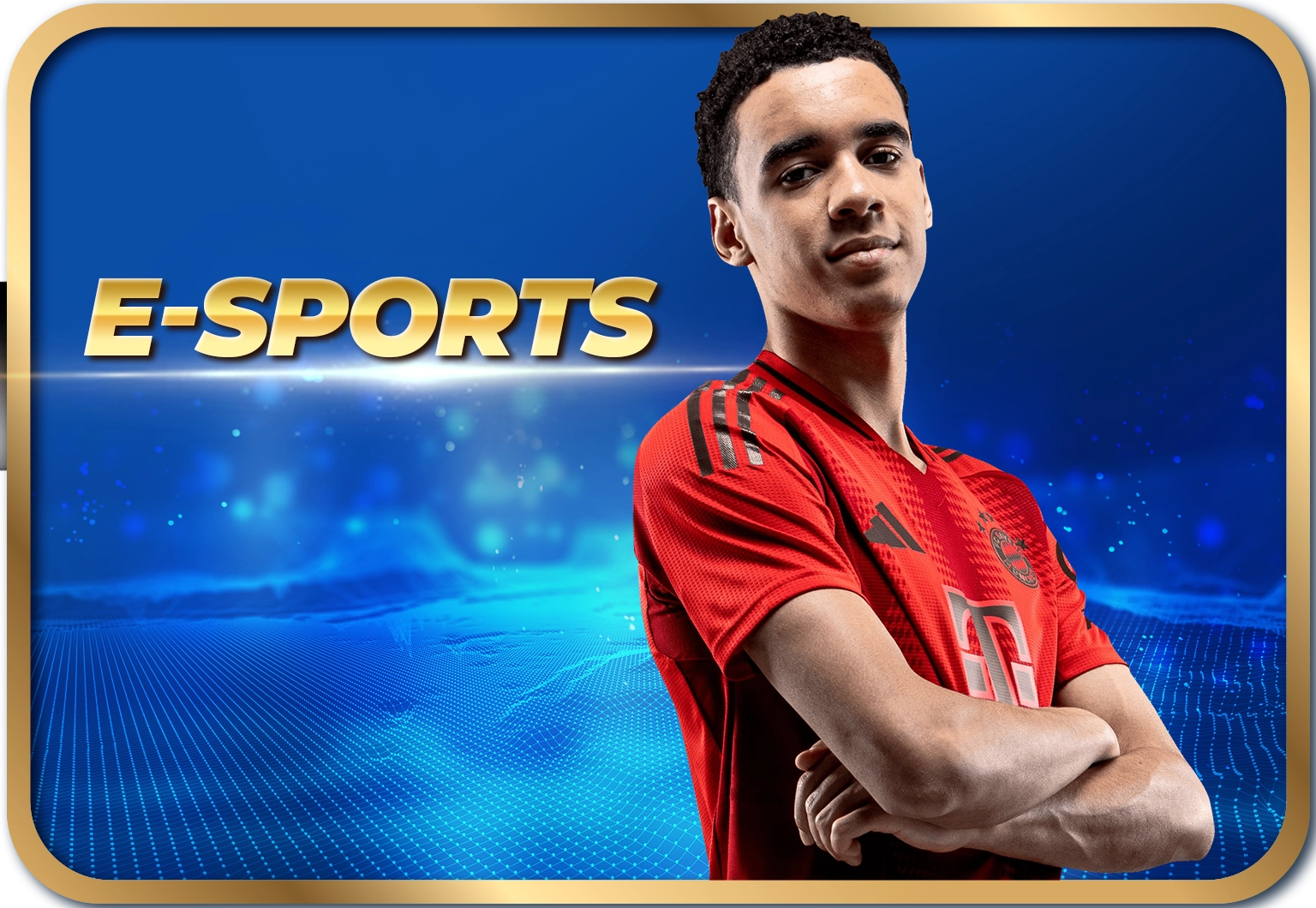 banner e sports
